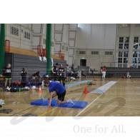 ARTOS MINI-FECHTBAHN