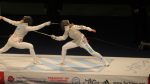 FIE Fencing Piste - Image 12